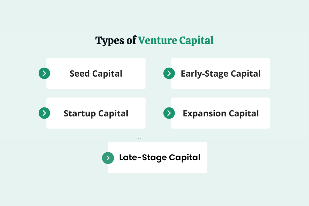 What Are the Different Types of Venture Capital Firms?