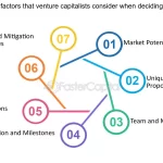 What Do Venture Capitalists Look for When Deciding to Invest in an Idea and a Team